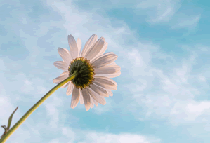 澳彩图库｜口径说明中心，澳彩图库永远的领先